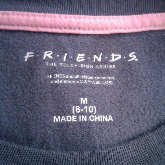 Friends "We Were on a Break!" Cozy Comfy Sleep Shirt Gray w Pink Stripe - M - Picture 5 of 8